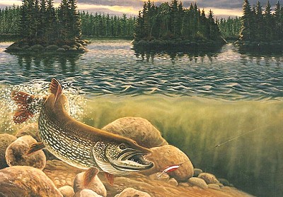 Northern Pike Fishing Tips & Articles